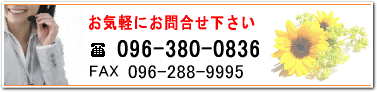 ⍇ db 096-380-0836